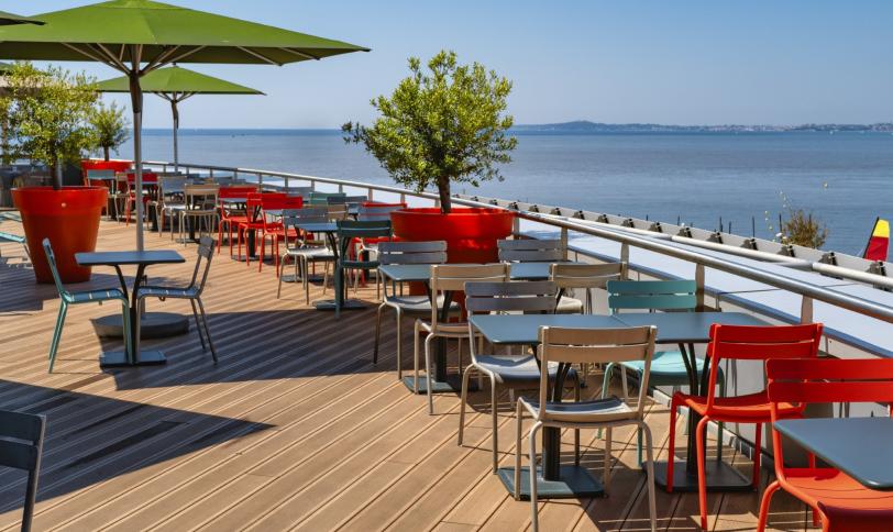 Gegroefd Coloradobruin