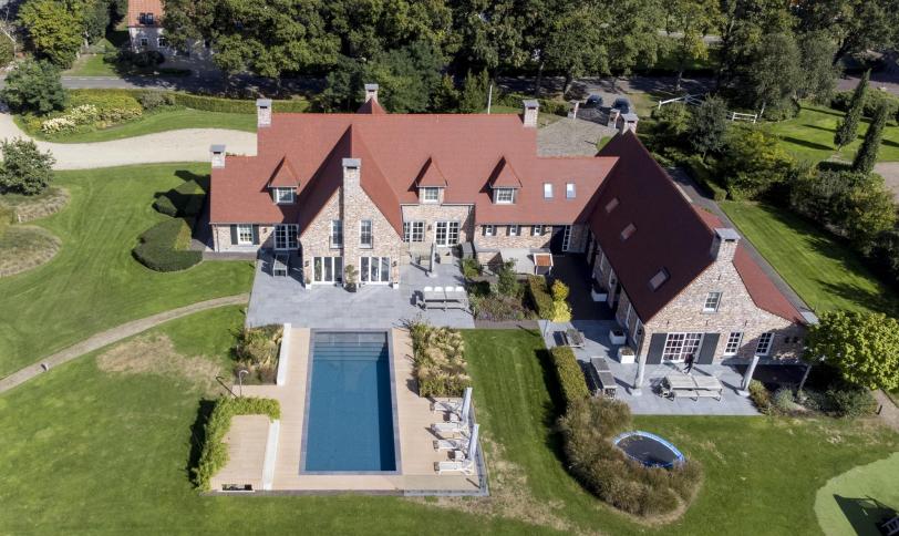 Gestructureerd Coloradobruin