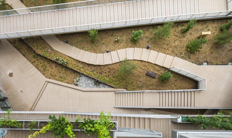 Brun exotique structurée